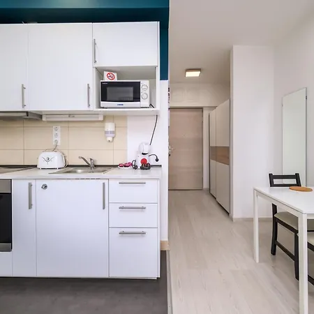 Atrium Deluxe Suite-free Parking Garage Same Building Apartment